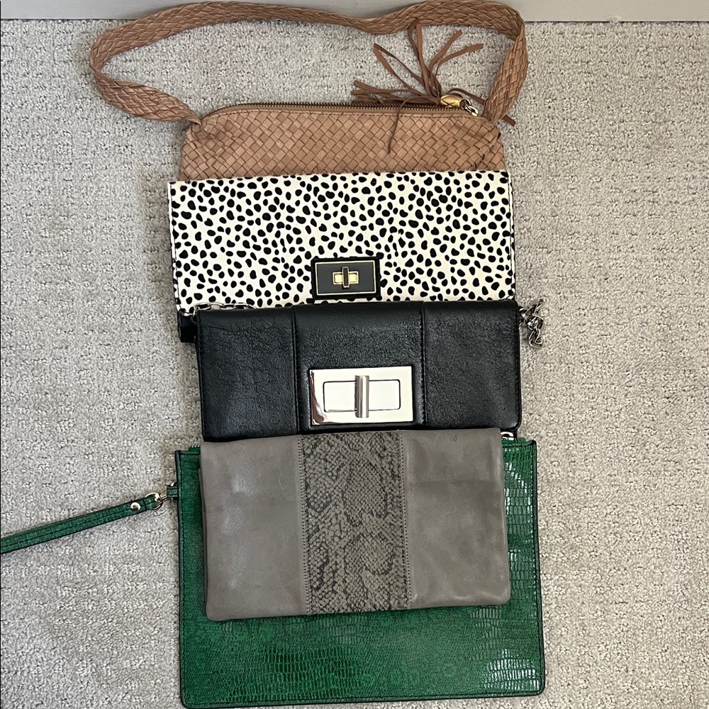 Stylish Women's Multi-Color Clutch Set